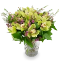 Perroquet